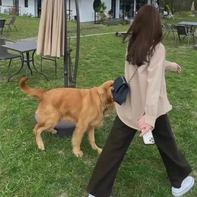 心之所爱